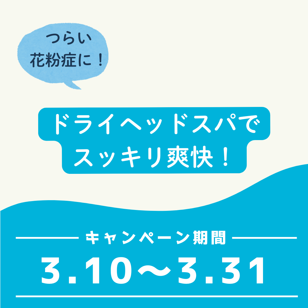キャンペーン期間