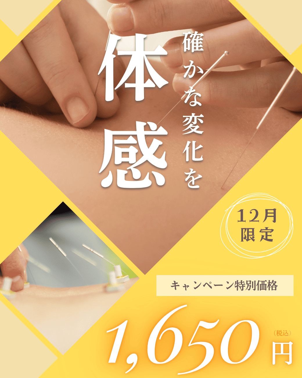 確かな変化を体感！キャンペーン