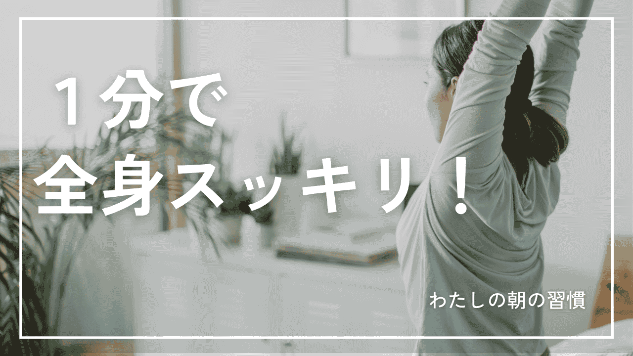 動画